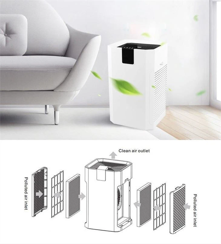 HEPA Filter Ionizer Air Purifier