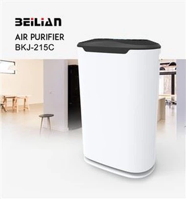 نظام تنظيف الهواء لتنقية الهواء مع صحيح HEPA