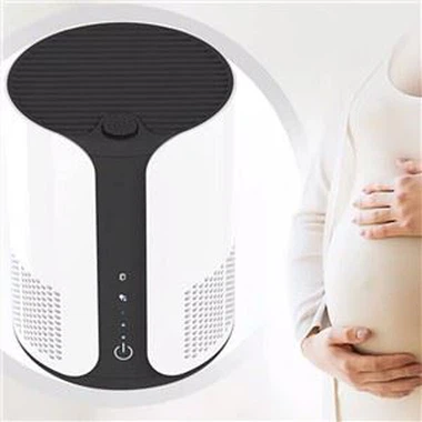 BKJ-5 سطح المكتب الصغير لتنقية الهواء أنيون